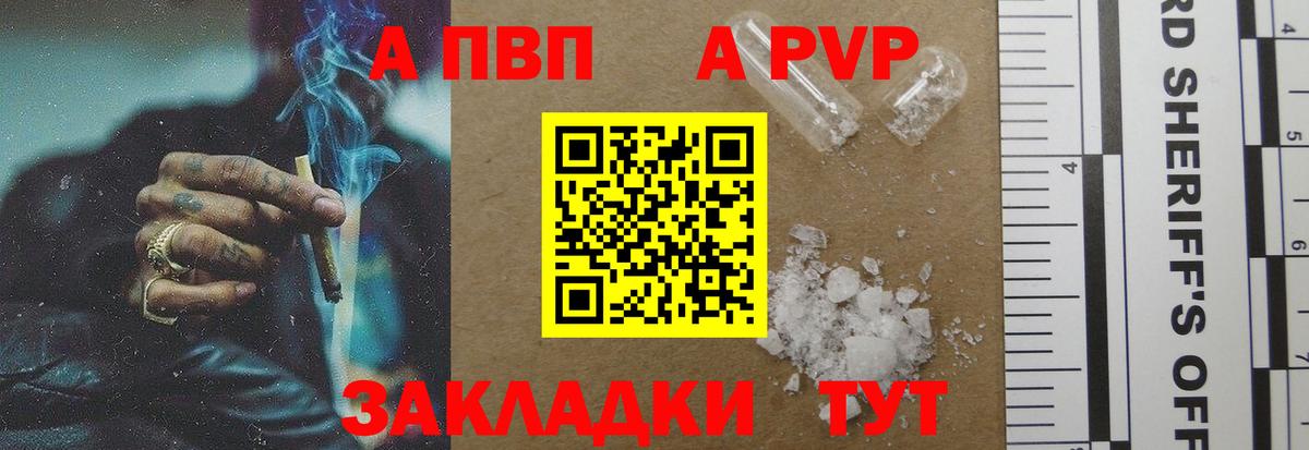 A-PVP СК Кингисепп