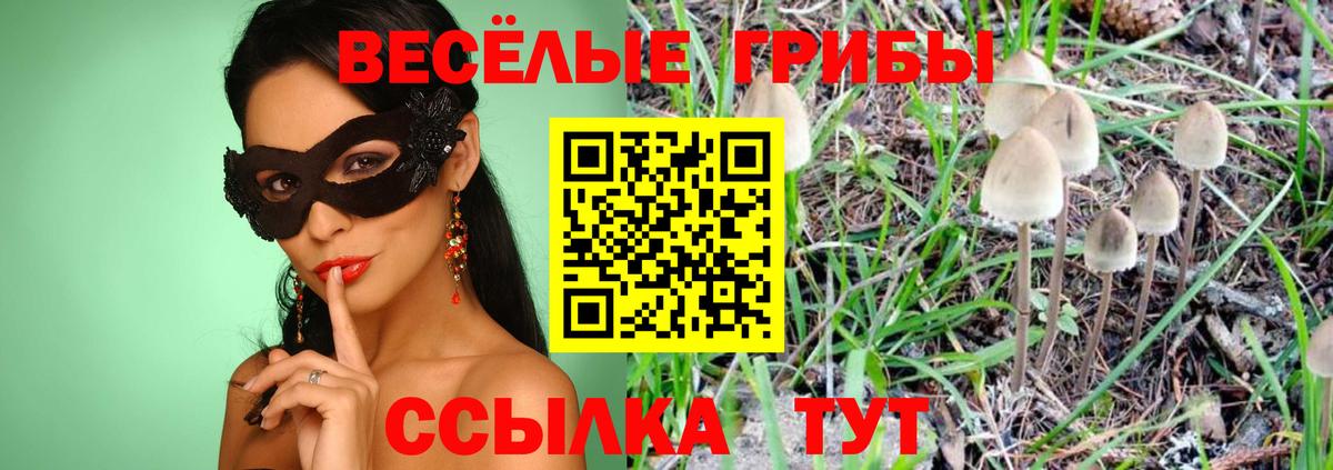Альфа ПВП Кингисепп