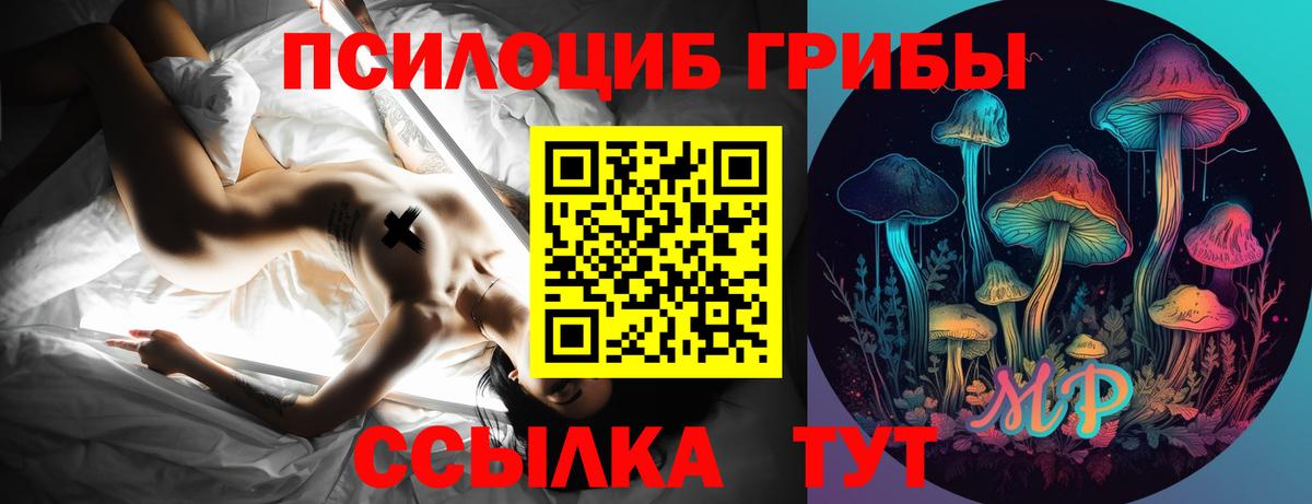 Кингисепп  Псилоцибиновые грибы Cubensis  Вход с VPN  Псилоцибиновые грибы Psilocybe 